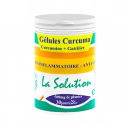 Gelules Curcuma Avis — En Cote D'Ivoire Commander — Prix 24900 ₣