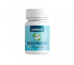 Incas Protect