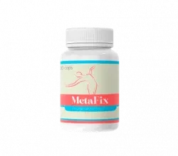 Metafix